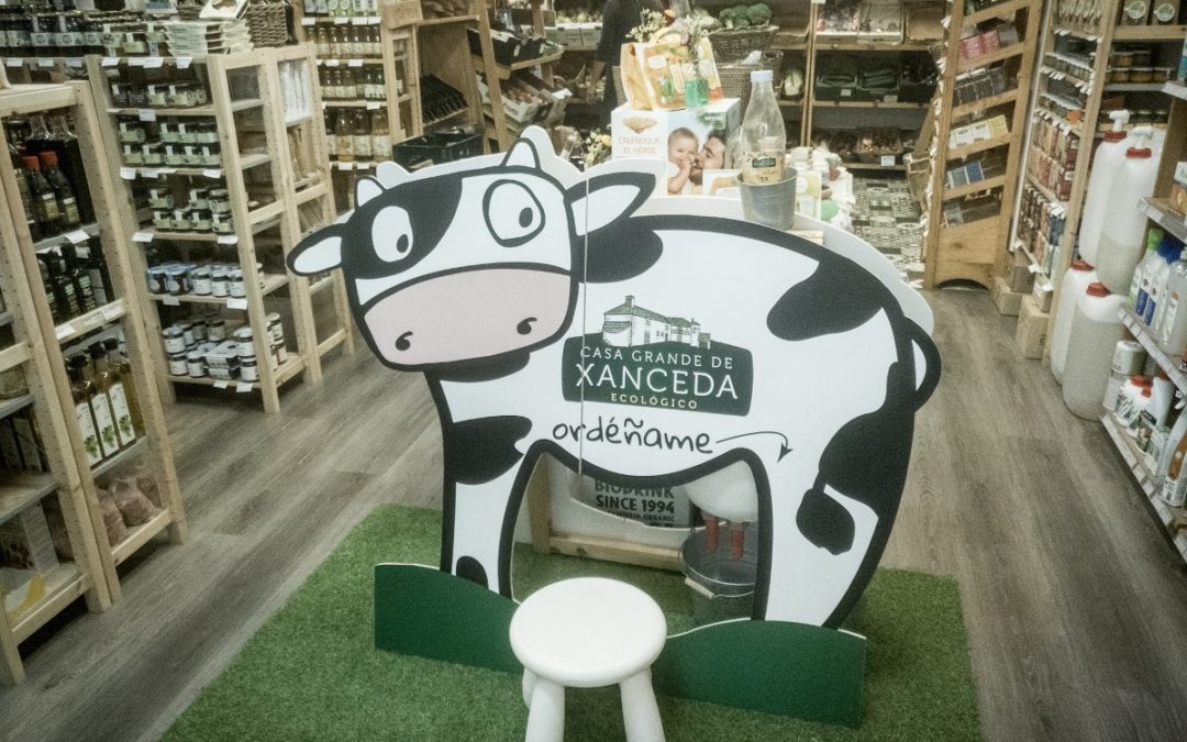 Unha vaca na tenda!!