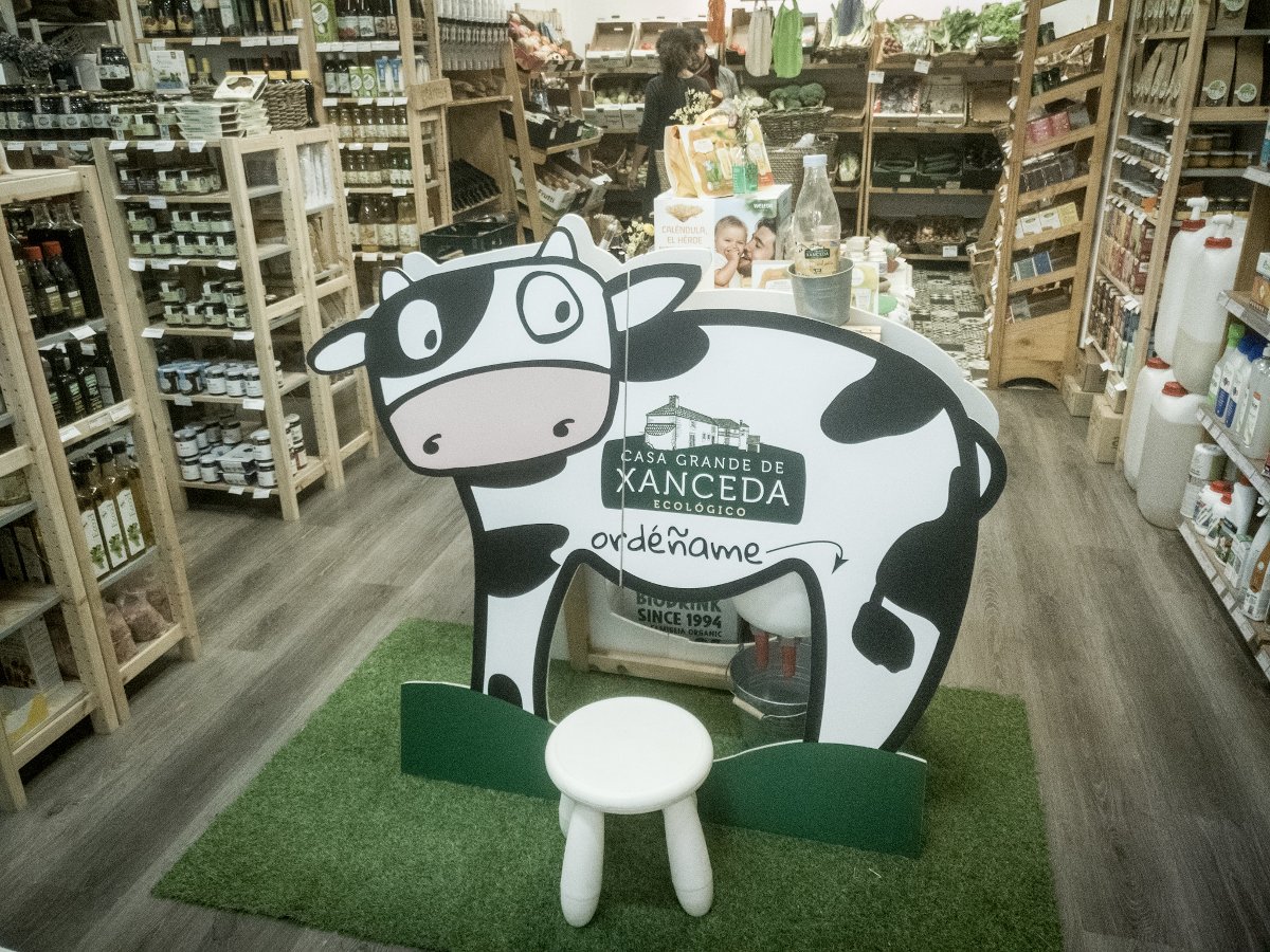 Unha vaca na tenda!!